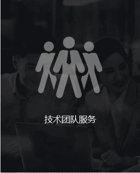 技術(shù)團隊服務(wù)